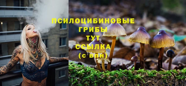 прущая мука Верхний Тагил